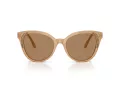 Swarovski Sonnenbrille SK 6031 2002M4