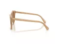 Swarovski Sonnenbrille SK 6031 2002M4