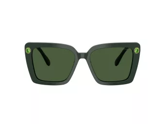 Swarovski Sonnenbrille SK 6032 102671