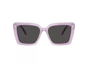 Swarovski Sonnenbrille SK 6032 107587
