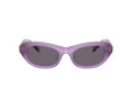 Swarovski Sonnenbrille SK 6036U 10751A