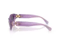 Swarovski Sonnenbrille SK 6036U 10751A