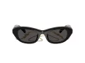 Swarovski Sonnenbrille SK 6036U 107687