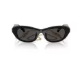 Swarovski Sonnenbrille SK 6036U 107687