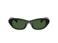 Swarovski Sonnenbrille SK 6036U 108171