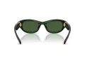 Swarovski Sonnenbrille SK 6036U 108171