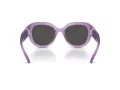 Swarovski Sonnenbrille SK 6037 107587