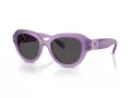 Swarovski Sonnenbrille SK 6037 107587