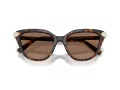 Swarovski Sonnenbrille SK 6039 100273