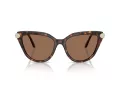 Swarovski Sonnenbrille SK 6039 100273