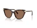 Swarovski Sonnenbrille SK 6039 100273