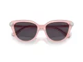 Swarovski Sonnenbrille SK 6039 1041P5