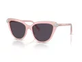 Swarovski Sonnenbrille SK 6039 1041P5