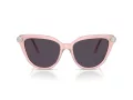 Swarovski Sonnenbrille SK 6039 1041P5