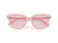 Swarovski Sonnenbrille SK 6039 1041P5