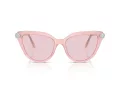 Swarovski Sonnenbrille SK 6039 1041P5