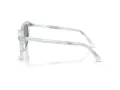 Swarovski Sonnenbrille SK 6039 1042/1