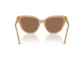 Swarovski Sonnenbrille SK 6039 2002OK