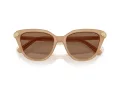 Swarovski Sonnenbrille SK 6039 2002OK