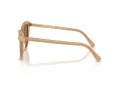 Swarovski Sonnenbrille SK 6039 2002OK