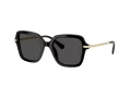 Swarovski Sonnenbrille SK 6040 100187