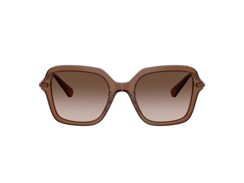 Swarovski Sonnenbrille SK 6040 106713