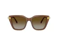 Swarovski Sonnenbrille SK 6041 1067T5