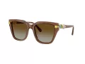 Swarovski Sonnenbrille SK 6041 1067T5