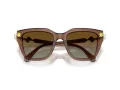 Swarovski Sonnenbrille SK 6041 1067T5