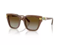 Swarovski Sonnenbrille SK 6041 1067T5