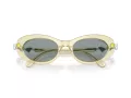 Swarovski Sonnenbrille SK 6042 1080/1