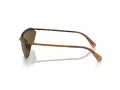 Swarovski Sonnenbrille SK 7001 400273