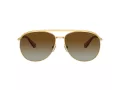 Swarovski Sonnenbrille SK 7005 4004T5 58