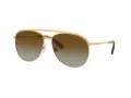Swarovski Sonnenbrille SK 7005 4004T5 58