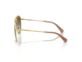 Swarovski Sonnenbrille SK 7005 4004T5 58