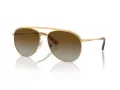 Swarovski Sonnenbrille SK 7005 4004T5 58