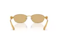 Swarovski Sonnenbrille SK 7010 4007D8