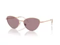 Swarovski Sonnenbrille SK 7014 40147N