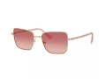 Swarovski Sonnenbrille SK 7015 4013A5 53