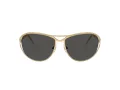 Swarovski Sonnenbrille SK 7028 400487