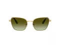 Swarovski Sonnenbrille SK 7029 4004E8 55