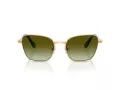 Swarovski Sonnenbrille SK 7029 4004E8 55