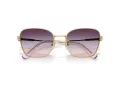 Swarovski Sonnenbrille SK 7029 4036U7 55