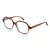 Scotch & Soda Brillen SS 3014 211