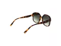 Ted Baker Sonnenbrille TB 1685 267