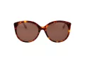 Ted Baker Sonnenbrille TB 1741 100