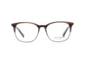 Ted Baker Brillen TB 8219 102