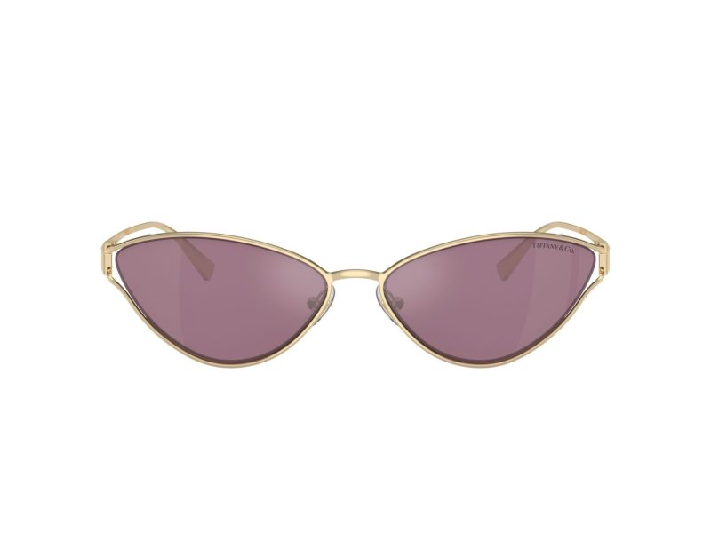 Tiffany Sonnenbrille TF 3095 6194AK