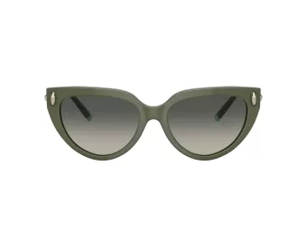 Tiffany Sonnenbrille TF 4195 835811