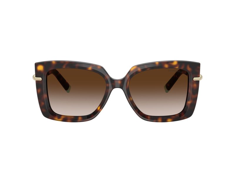 Tiffany Sonnenbrille TF 4199 80153B